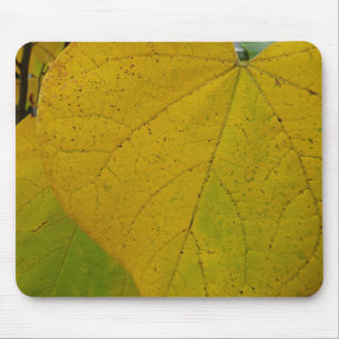 Yellow Redbud Leaves Autumn Nature Photography Mouse Pad