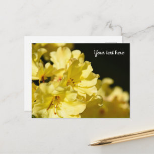 Yellow Rhododendron Postcard