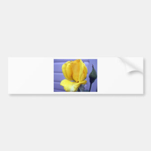 Yellow Rodebud Bumper Sticker
