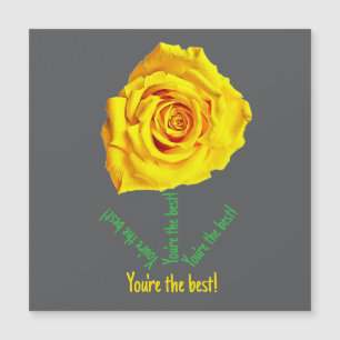 Yellow rose