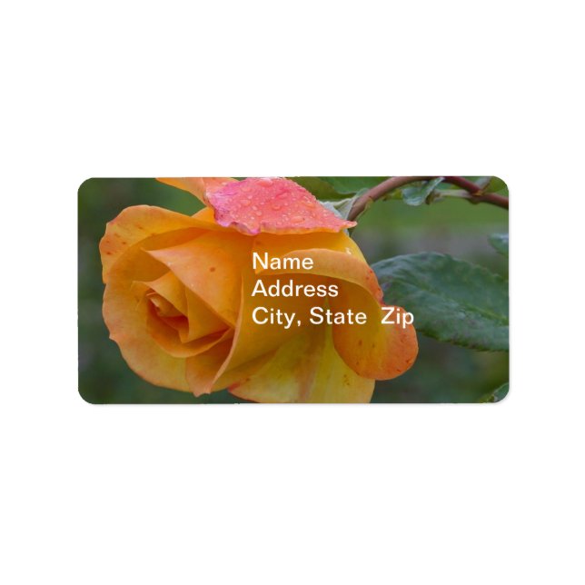 Yellow Rose3 Label (Front)