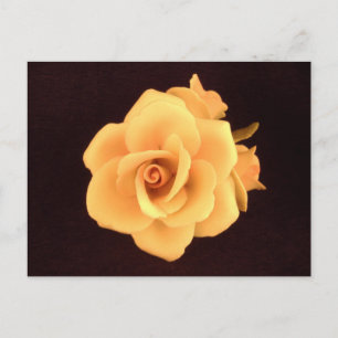 Yellow Rose 2004 Photo Postcard