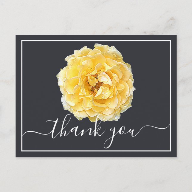 Yellow Rose And Dew Drops Navy Backdrop Thank You Postcard (Front)
