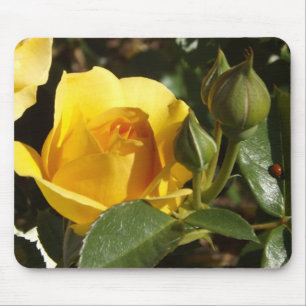 Yellow rose and ladybug mouse pad