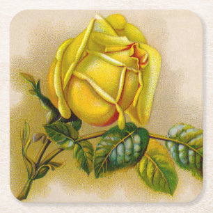 Yellow Rose Antique Vintage Print Fine Art Square Paper Coaster