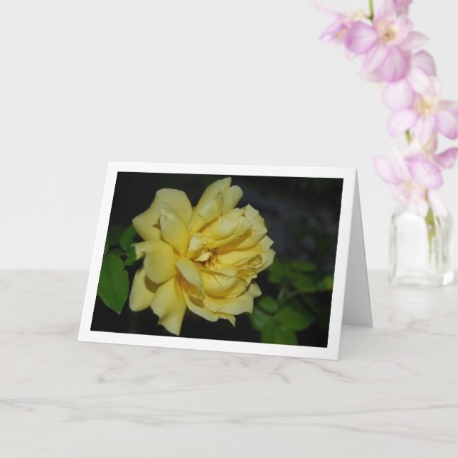Yellow Rose at Night Portrait Card (Orchid)