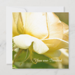 Yellow Rose Birthday Invitation