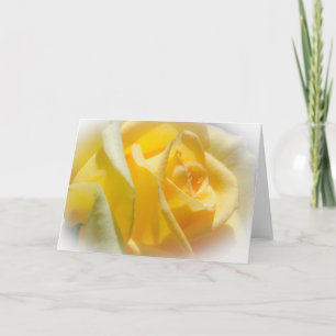 Yellow Rose Blank Greeting Card
