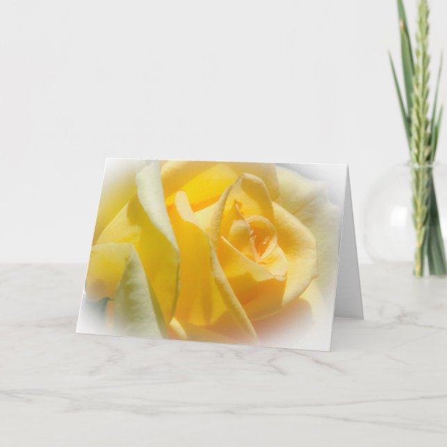 Yellow Rose Blank Greeting Card (Front)