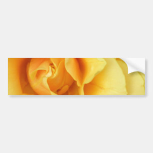 Yellow Rose Blossom Bumper Sticker