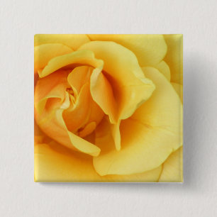Yellow Rose Blossom Square Button