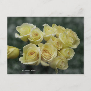 Yellow Rose bouquet spotted background Postcard