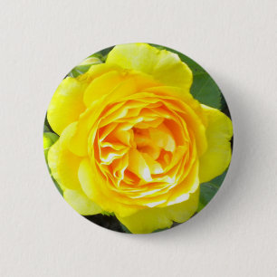 Yellow Rose Button