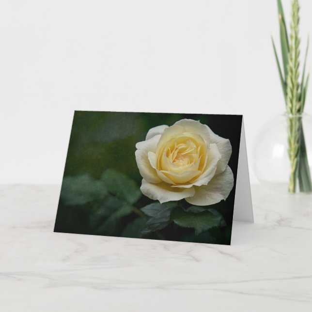 Yellow rose card (Front)