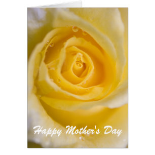 Yellow rose ... card