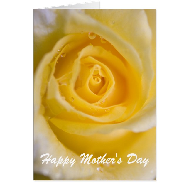 Yellow rose ... card (Front)