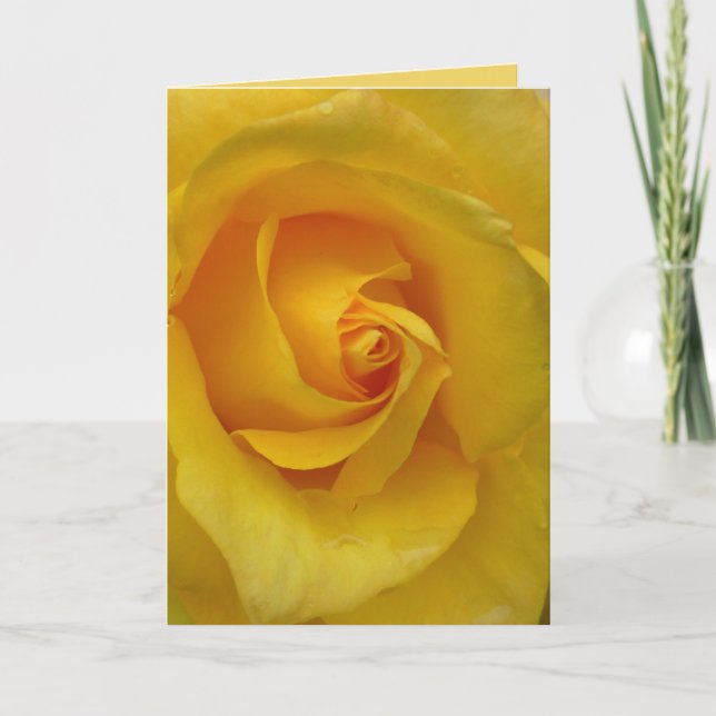 Yellow Rose Card Flowers Custom Greeting Cards (Front)