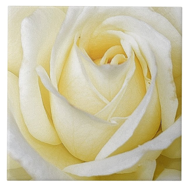 Yellow Rose Ceramic Tile (Front)