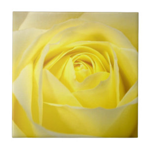 Yellow Rose Ceramic Tile