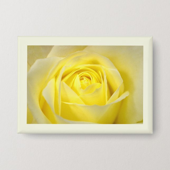 Yellow Rose Closeup (Front)