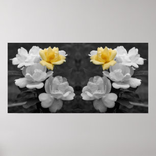 Yellow Rose Cluster Partial Colour Mirror Abstract Poster