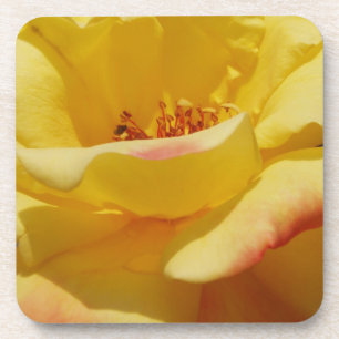 Yellow Rose Coasters