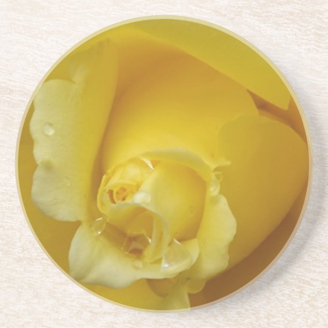 Yellow Rose coasters (Front)