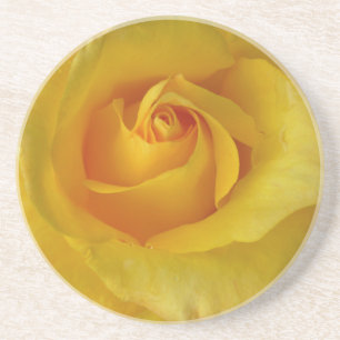 Yellow Rose Coasters Sunny Rose Gifts Keepsake Dec