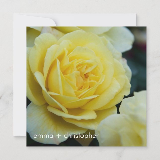Yellow Rose DSC3677 Save The Date (Front)