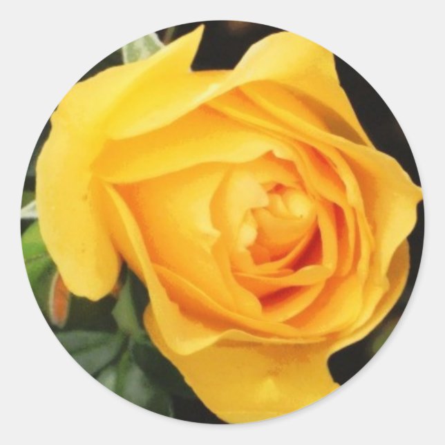 'Yellow Rose' Envelope Seal (Front)