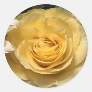Yellow Rose Envelope Seals Stickers
