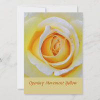 Yellow Rose Floral Macro Photo