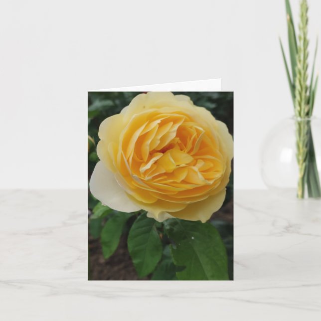 Yellow rose flower card (Front)