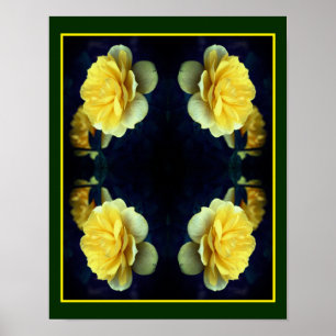 Yellow Rose Flower In Bloom Abstract Poster