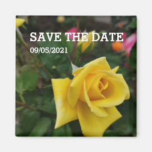 Yellow rose flower magnet