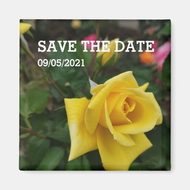 Yellow rose flower magnet (Front)