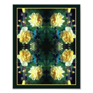 Yellow Rose Flower Pair Mirror Abstract 8x10 Photo Print