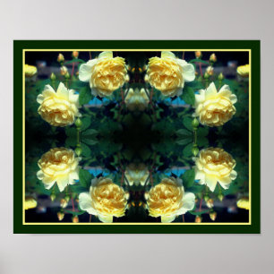 Yellow Rose Flower Pair Mirror Abstract Poster