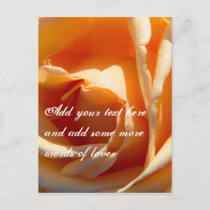 Yellow rose flower postcard