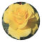 Yellow Rose Flower Sticker