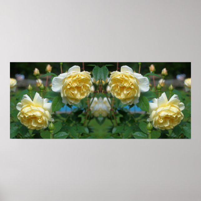 Yellow Rose Flowers Mirror Abstract Poster (Front)