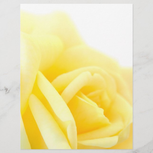 Yellow rose flyer (Front)