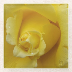 Yellow Rose Glass Coaster