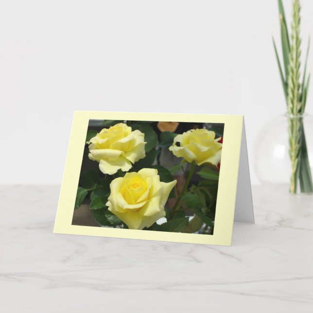 Yellow Rose Greeting Card (Front)