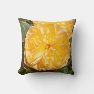 Yellow rose in a garden cushion