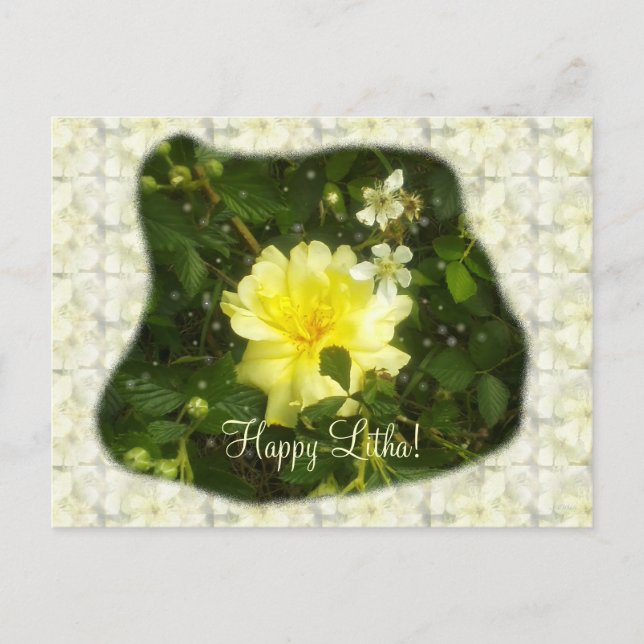 Yellow Rose in Brambles Summer Solstice Litha Postcard (Front)