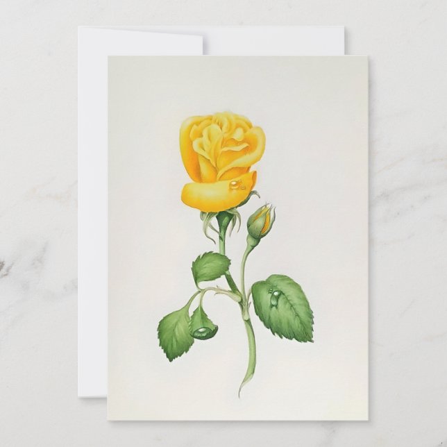 Yellow Rose In Watercolors Holiday Card (Front)