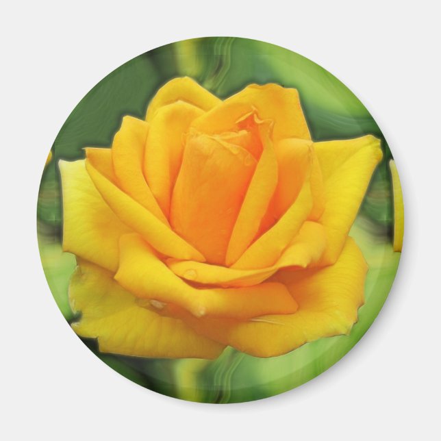Yellow Rose Magnet (Front)