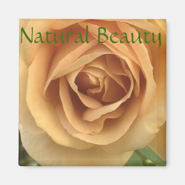 Yellow Rose Magnet (Front)