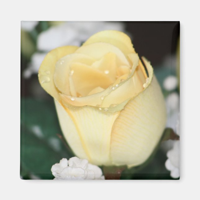 Yellow Rose Magnet (Front)